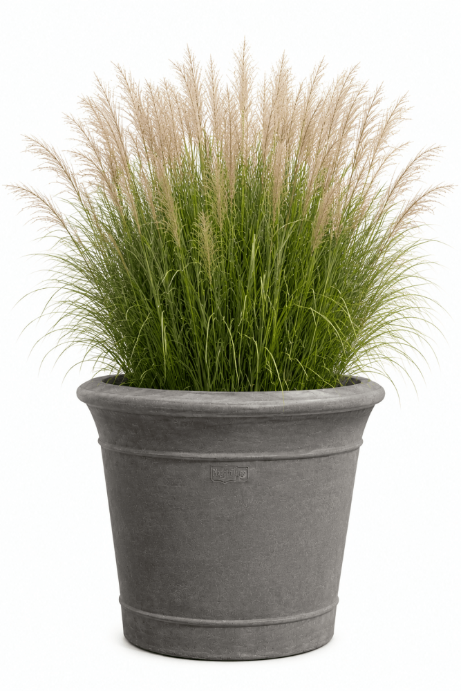Preview: Pot cylindrique gris en terre cuite d’Impruneta
